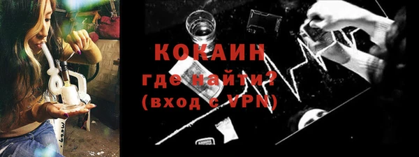 индика Волоколамск