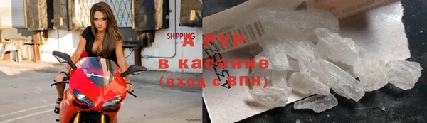 индика Волоколамск