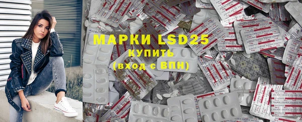 индика Волоколамск
