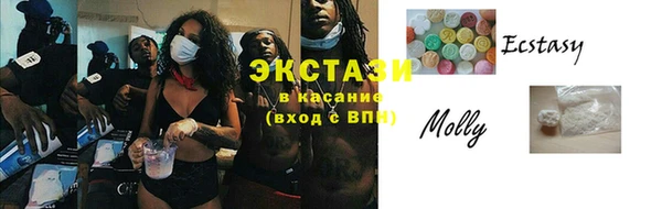 индика Волоколамск
