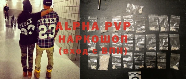 индика Волоколамск