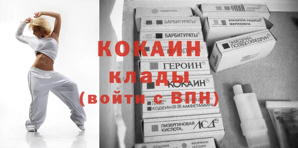 индика Волоколамск