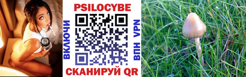 Купить закладки  Пыталово  Галлюциногенные грибы MAGIC MUSHROOMS 